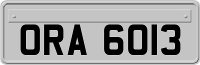 ORA6013