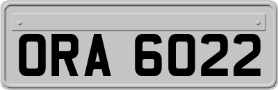 ORA6022