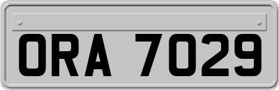 ORA7029