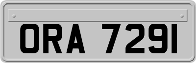 ORA7291