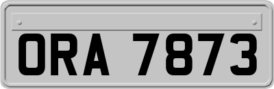 ORA7873
