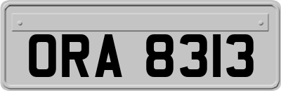 ORA8313