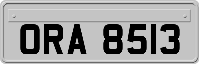 ORA8513