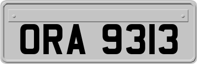 ORA9313