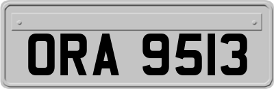 ORA9513