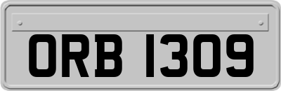 ORB1309