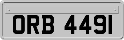 ORB4491