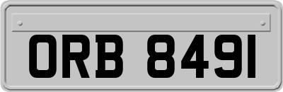ORB8491