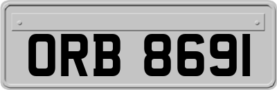 ORB8691