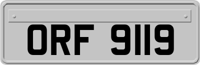 ORF9119