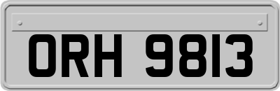 ORH9813