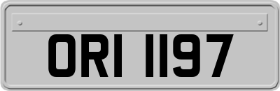 ORI1197