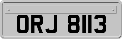 ORJ8113