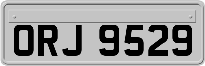 ORJ9529