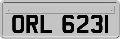 ORL6231