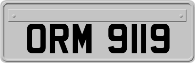 ORM9119