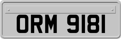 ORM9181