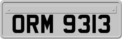 ORM9313