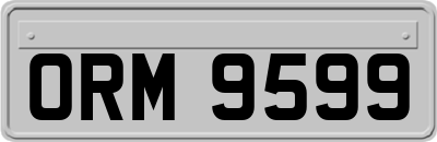ORM9599