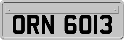 ORN6013