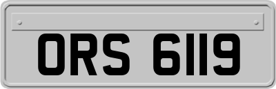 ORS6119