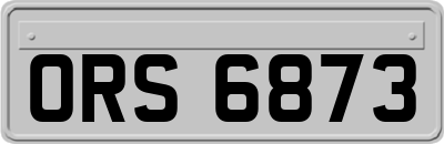ORS6873