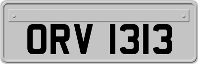 ORV1313