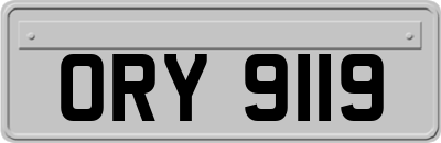 ORY9119