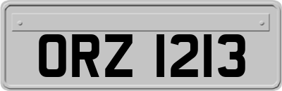 ORZ1213