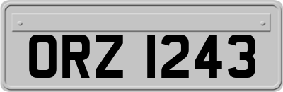 ORZ1243