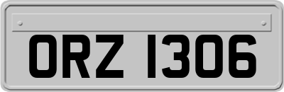 ORZ1306