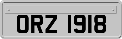 ORZ1918