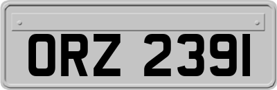 ORZ2391