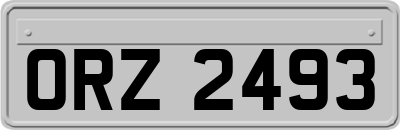 ORZ2493