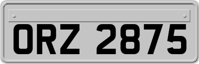 ORZ2875