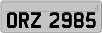 ORZ2985