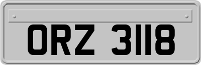 ORZ3118