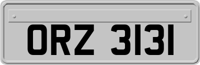 ORZ3131