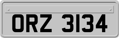 ORZ3134