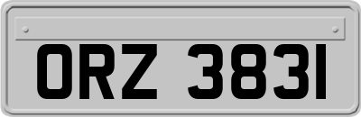 ORZ3831