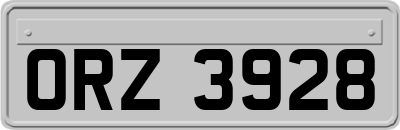 ORZ3928