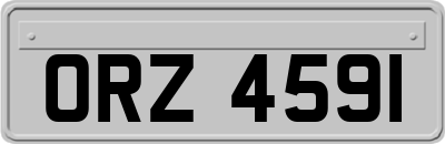 ORZ4591