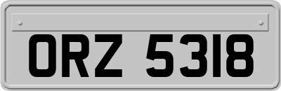 ORZ5318