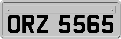 ORZ5565
