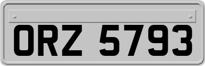 ORZ5793