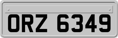 ORZ6349