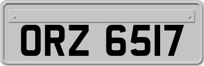ORZ6517