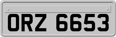 ORZ6653