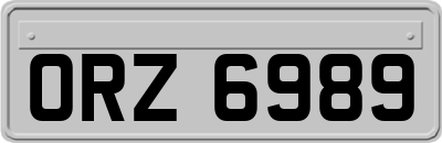 ORZ6989