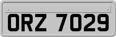 ORZ7029